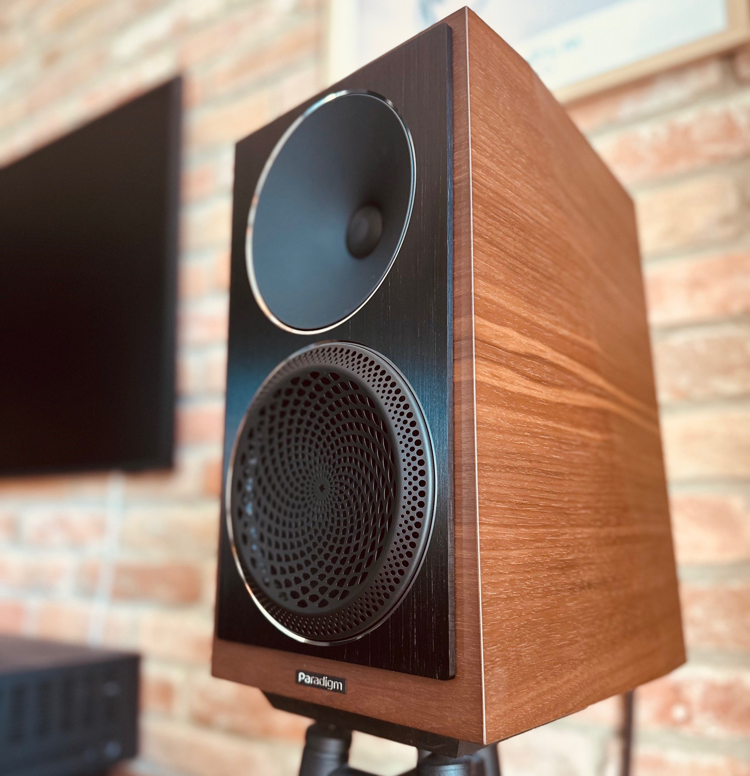 Paradigm Founder 40B