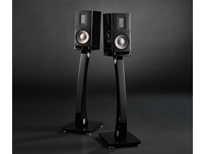 Raidho X1T Black