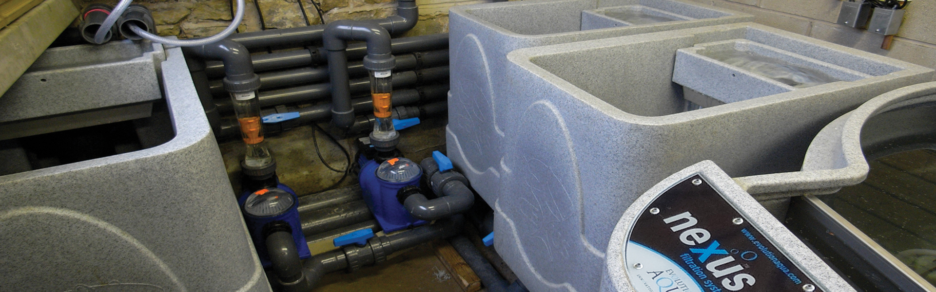 EA-Header-CetusSieve-1920x600