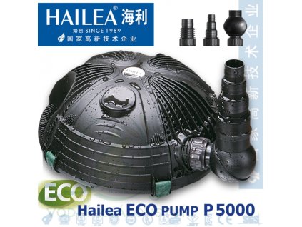 Hailea P5000