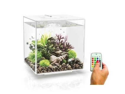 4606 7599 biorb cube 30 mcr white 72022