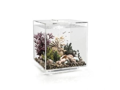 4604 7597 biorb cube 60 led transparent 72024