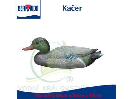 5452 9675 bermuda kacer