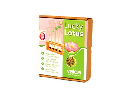 VE Lucky Lotus