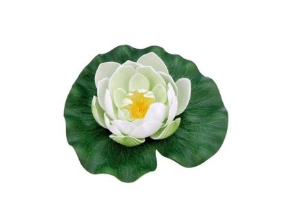 leknin pondolily bily