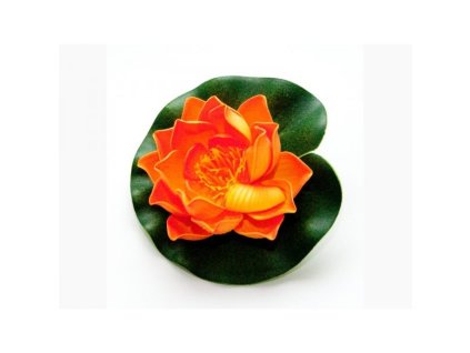 lotus orange 10cm