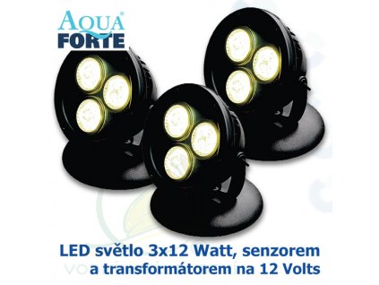 AF LED 3x12Watt