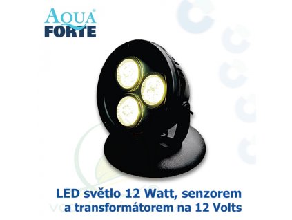 AF LED 1x12Watt