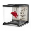 5111 8666 mini akvarium betta tank e02 cerna (1)