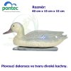 1828 4143 mallard duck female