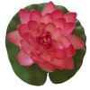 lotus rose 20cm