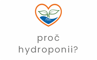 hydroponie obecně