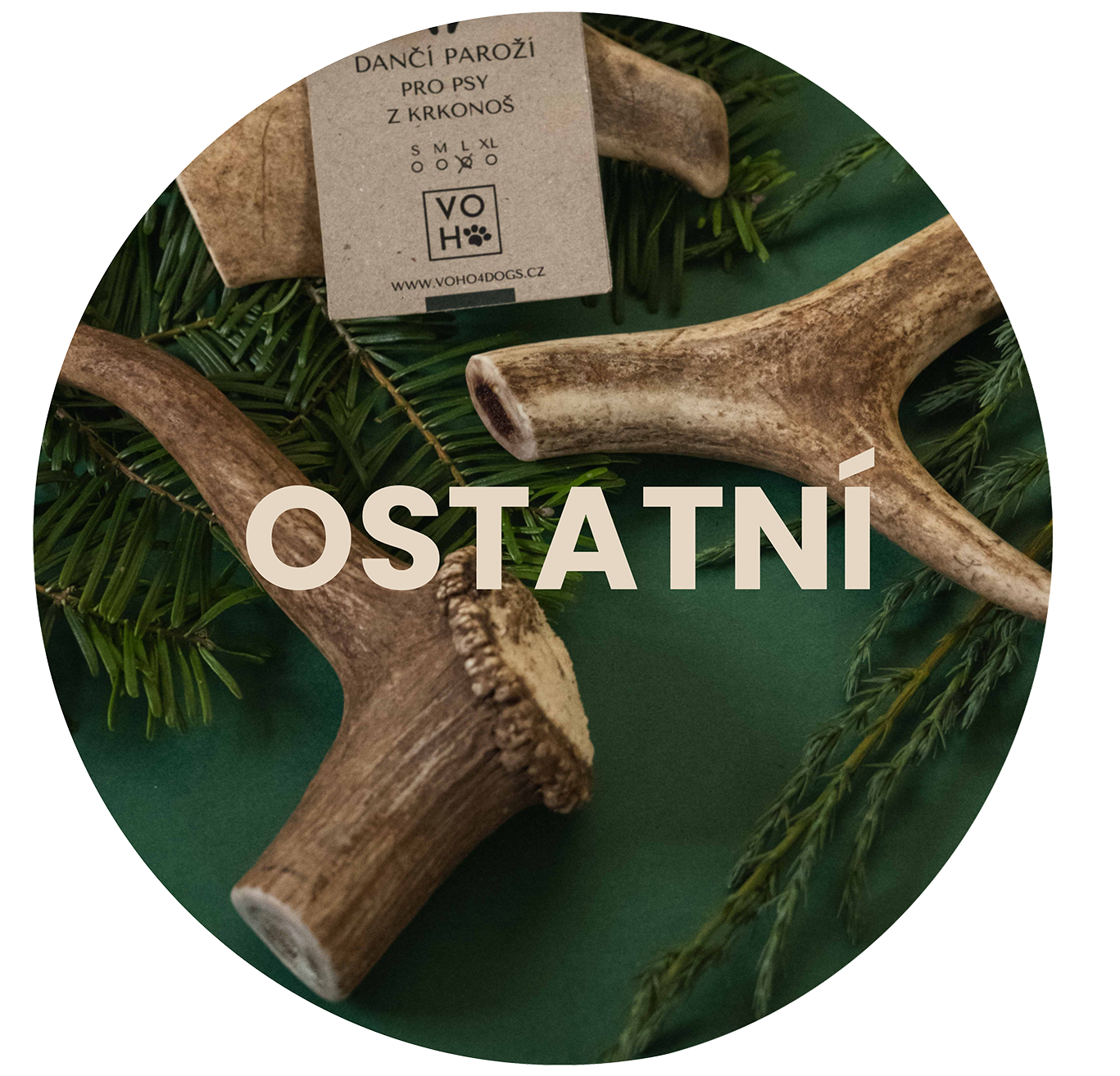 Ostatní