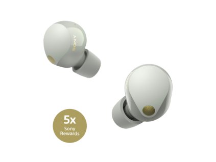 thumbnails large Asset+Hierarchy Consumer+Assets Accessories Headphones Earbuds 2023 WF 1000XM5 eComm+Product+Images Silver 01 WF 1000XM5S Truly+Wireless+Noise+Canceling+Earbuds.png