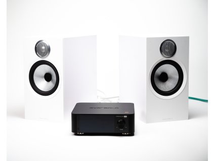 VOIX Authority ENTRY