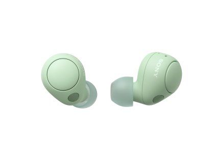 WF C700N Sage Green Standard Large