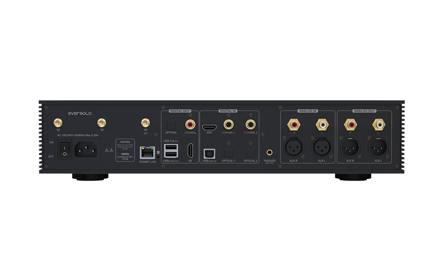 EverSolo DMP-A8 — zadní panel s přehledem všech digitálních a analogových vstupů a výstupů