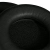 HiFiMAN Leather Earpads