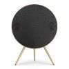 Bang & Olufsen Beosound A9 5th gen (Barva Black Anthracite)