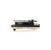 Gold Note GIGLIO (Barva Italian Walnut (Black Glossy))
