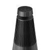 Bang & Olufsen BeoSound 2 3rd gen (Barva Natural)