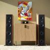 24521 8 set nad m10v3 2x bluesound pulse m