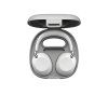 1000X THE COLLEXION w case platinum Large
