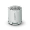 SRS XB100 Light Gray main Large