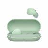 !WF C700N Sage Green Case Open2 Large