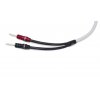 chord c screen trouser ohmic temp001 72