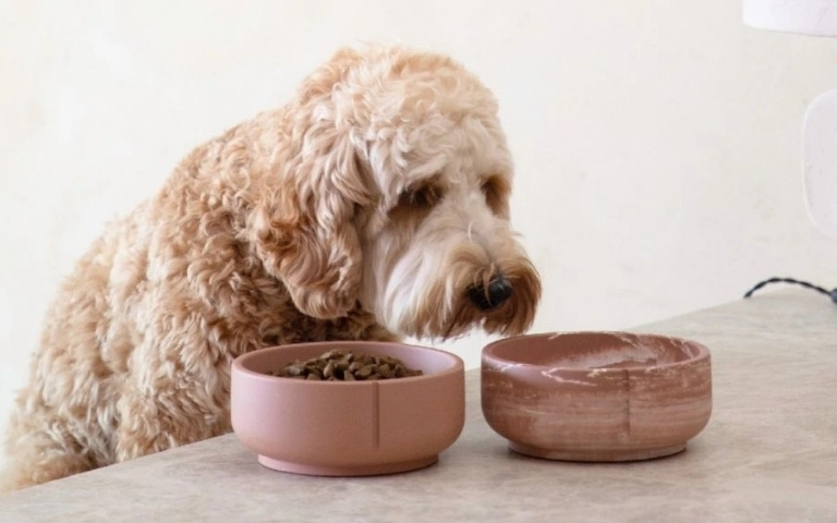 Novinka z přírody: designové produkty z borovicového pískovce od značky PINO