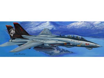Hobby Boss - Grumman F-14D SUPER Tomcat, Model Kit 368, 1/48