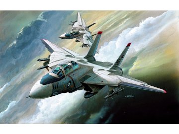 Academy - Grumman F-14 Tomcat, Model Kit letadlo 12608, 1/144