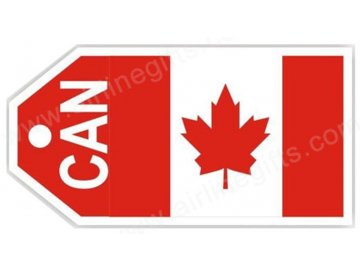 aci tag302 canada flag baggage tag x43 158121 0