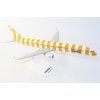 42996 b757 condor sunshine b