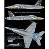 12534 FA 18C eng (3)