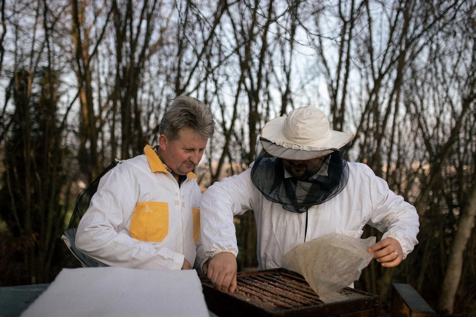 Viac než len med: Príbeh rodiny Voľanských a náš sľub pre vaše zdravie