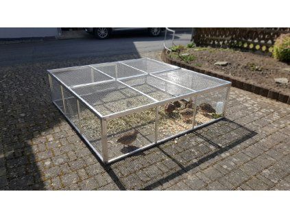 Firefly Gemini Flash upravit 886349 (1)