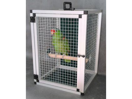 Firefly Gemini Flash amazoňan v kleci na bidle 237392