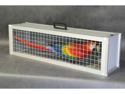 Firefly Gemini Flash ara přes celou klec 116647