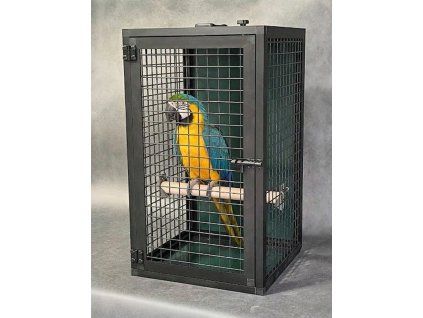 Firefly Gemini Flash ara v kleci na bidle 555416