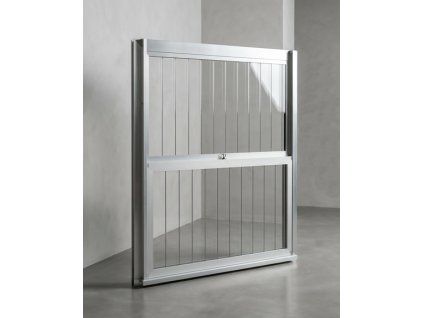 Firefly Gemini Flash změnit pozadí 12405