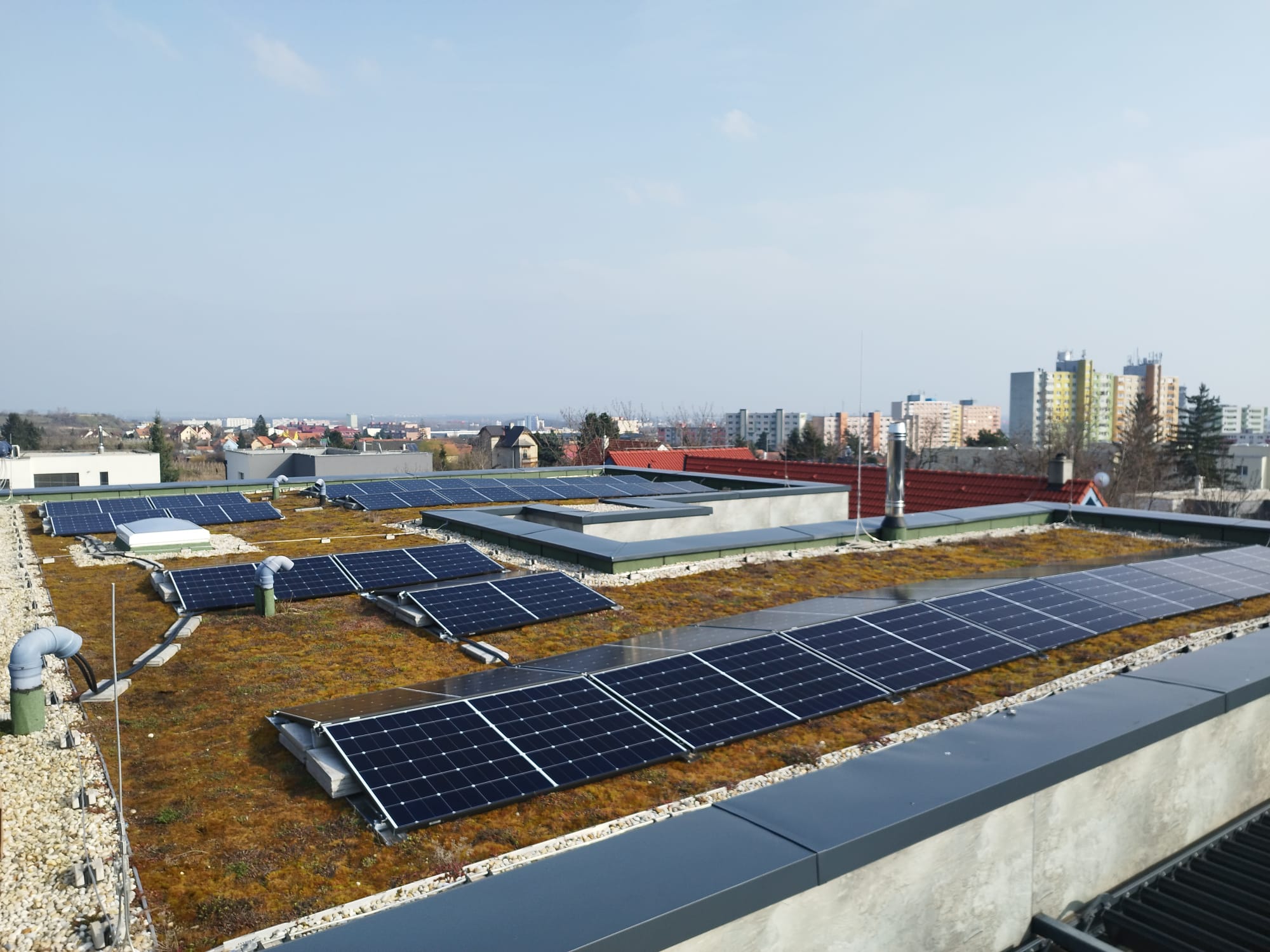 PHOTO-2024-02-29-14-13-13