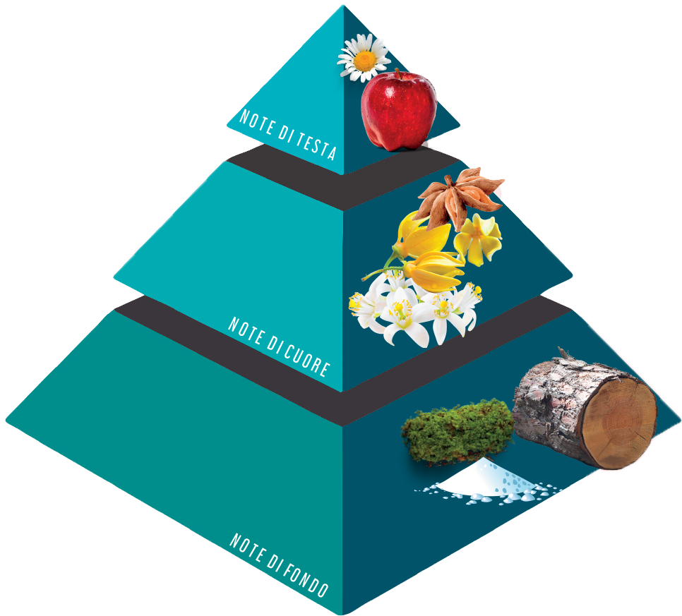 Naša parfumová pyramída - ako sa v nej orientovať?