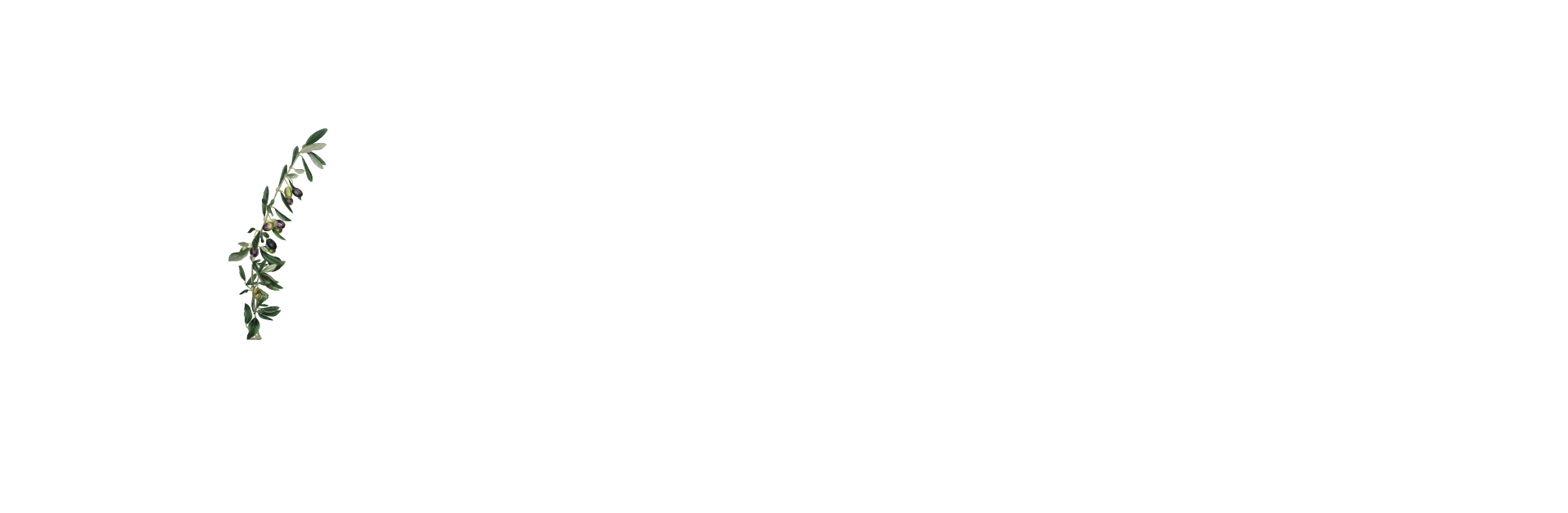 Vonavi