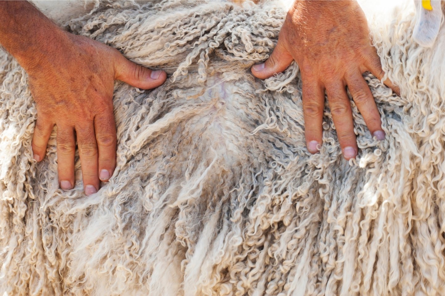 ako-sa-starat-o-moher3