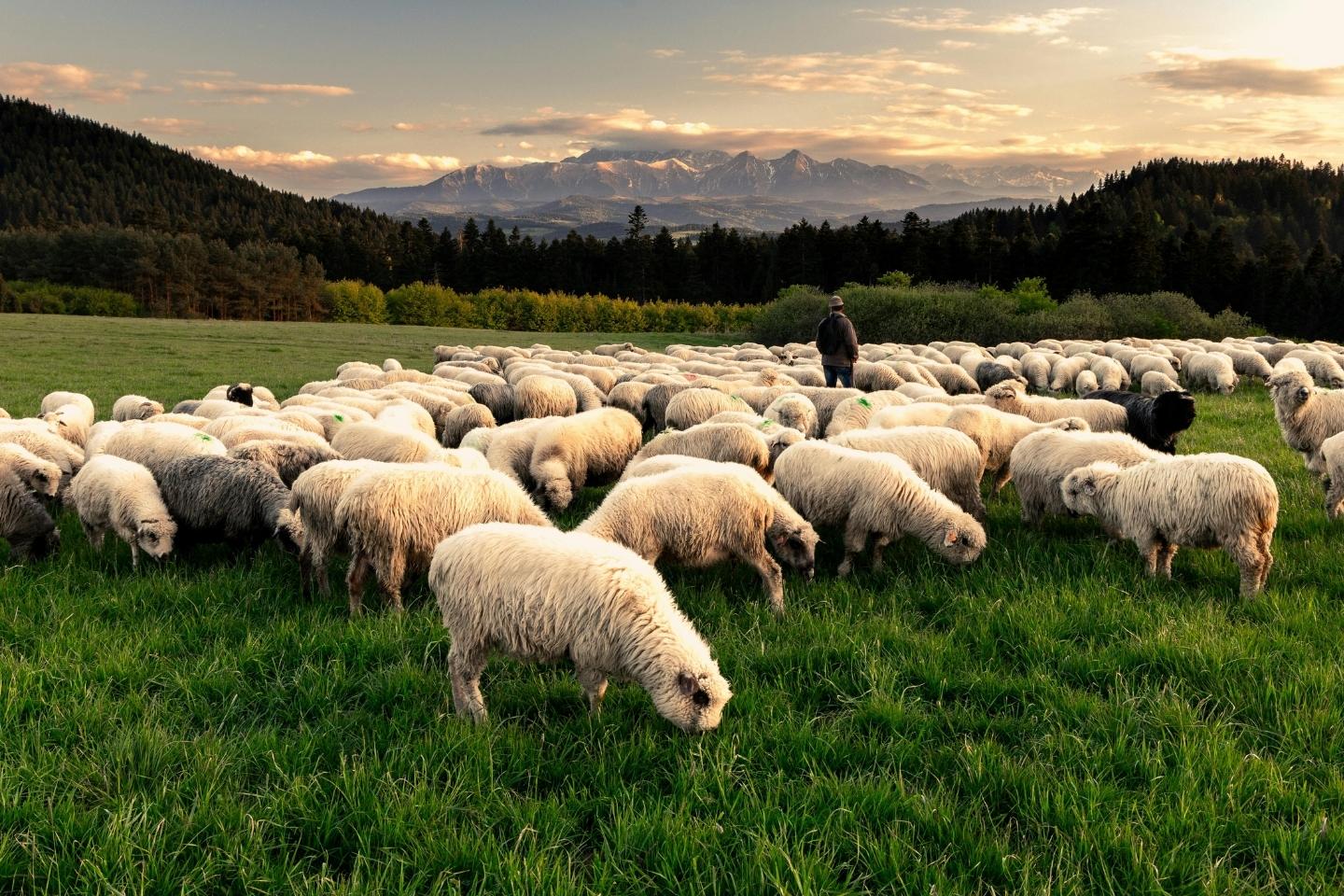 ako-sa-starat-o-vlnu4