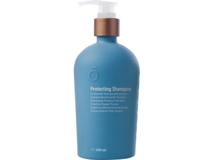 protectingshampoo500ml large 1720x1350