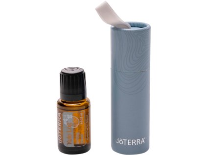 yule log seasonal2024 large 1720x1350