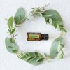 Doterra Teafa (Tea tree) illóolaj 15 ml